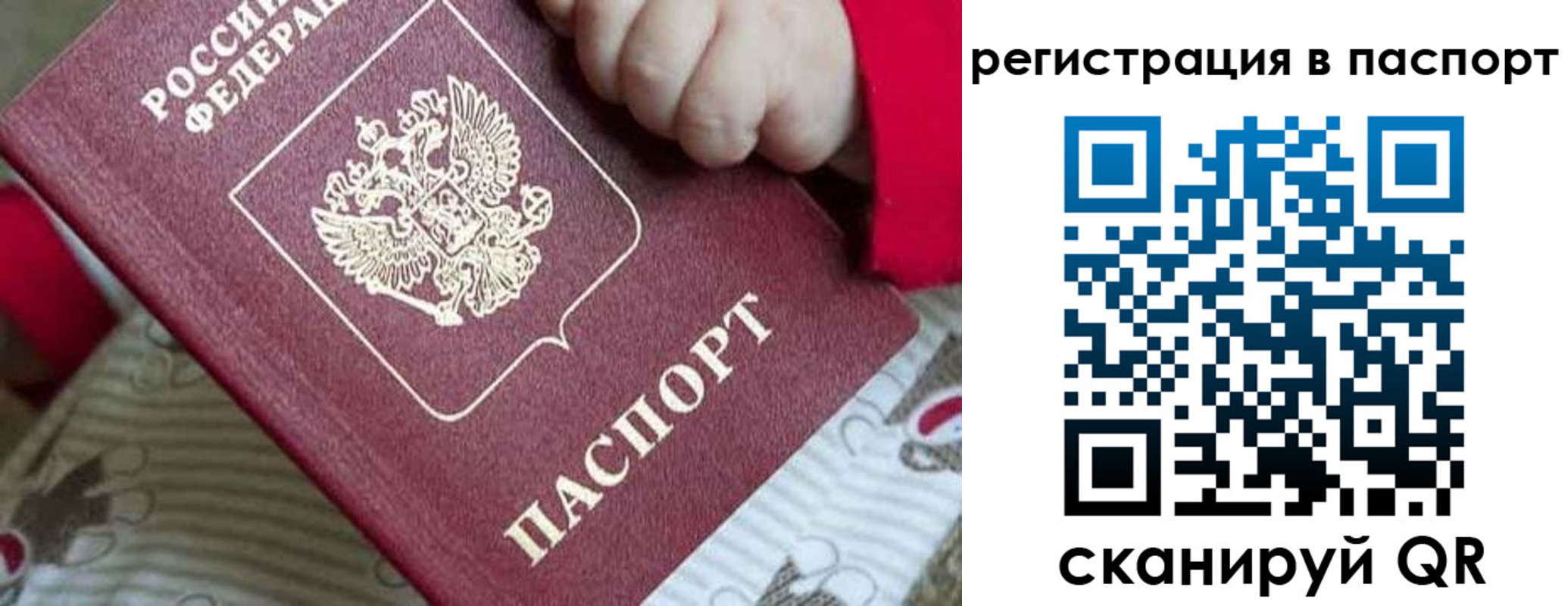 прописка паспорт в Вологде